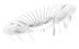 block icon